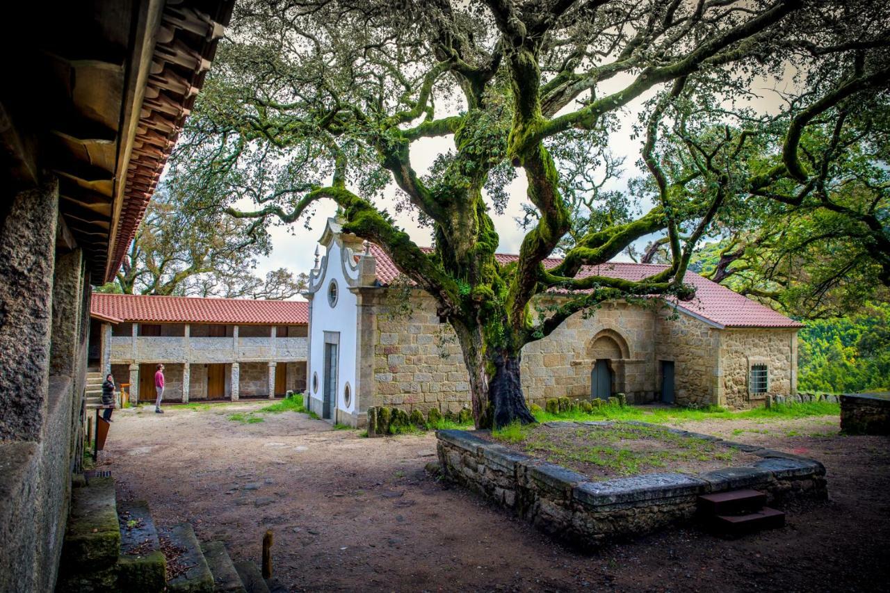 Casa Da Vila Cerveira Vila Nova de Cerveira Kültér fotó